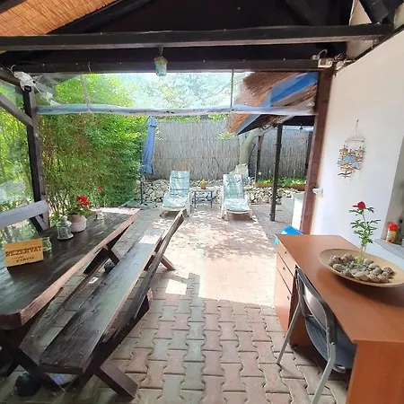 Pensiune Pensiunea La Gura Portitei - Jurilovca