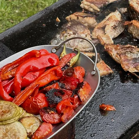 Pensiunea La Gura Portitei -