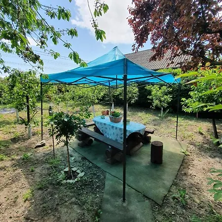 Pensiunea La Gura Portitei - ゲストハウス ジュリロヴカ