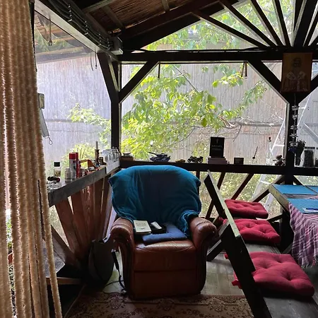 ゲストハウス Pensiunea La Gura Portitei -