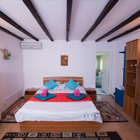 Pensiunea La Gura Portitei - ジュリロヴカ