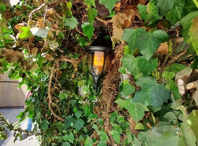 Pensiunea La Gura Portitei - Vendégház