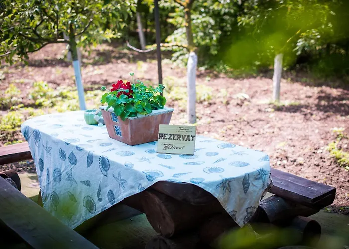 Pensiunea La Gura Portitei -