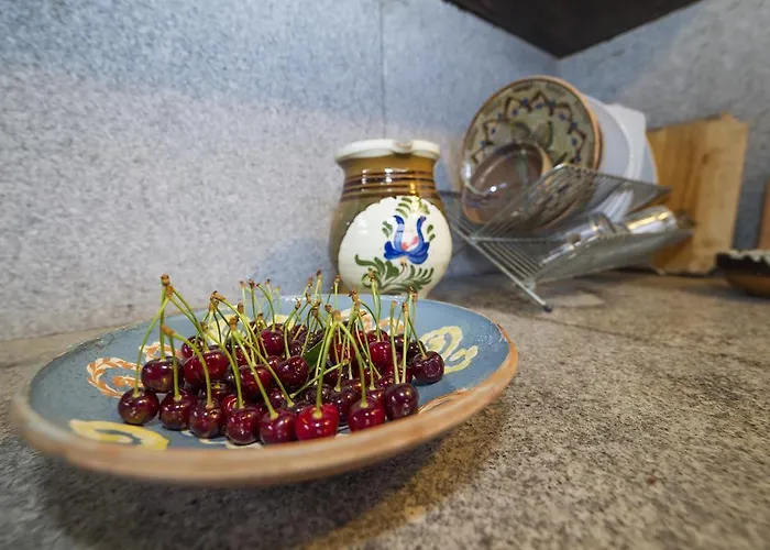 Pensiunea La Gura Portitei -